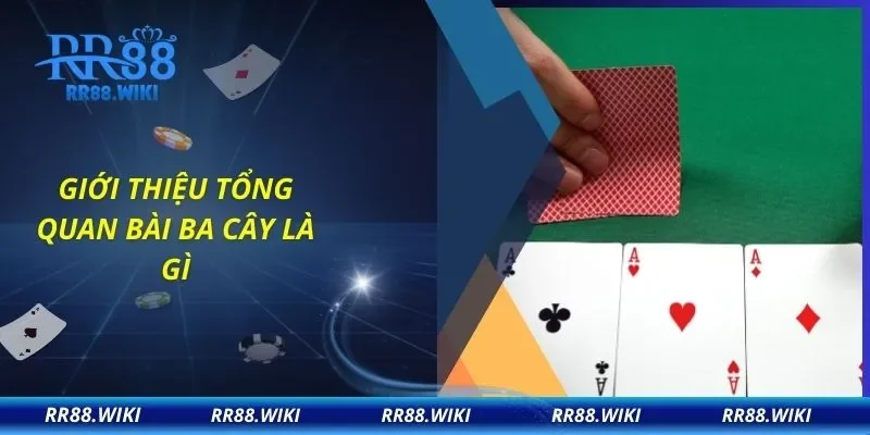 Giới thiệu tổng quan bài ba cây là gì